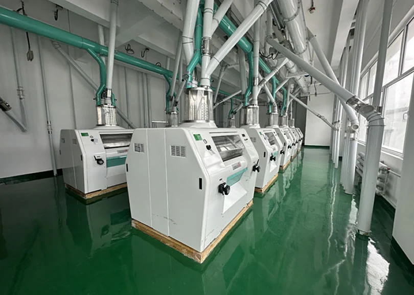 200 tpd industrial maize flour mill plant